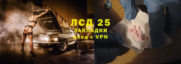 ПСИЛОЦИБИНОВЫЕ ГРИБЫ Арсеньев