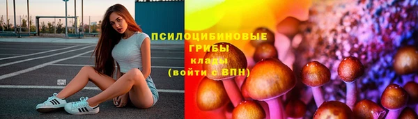 ПСИЛОЦИБИНОВЫЕ ГРИБЫ Арсеньев