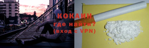 ПСИЛОЦИБИНОВЫЕ ГРИБЫ Арсеньев