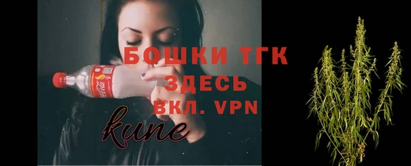 ПСИЛОЦИБИНОВЫЕ ГРИБЫ Арсеньев