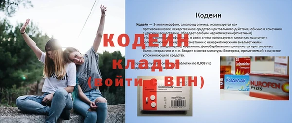 ПСИЛОЦИБИНОВЫЕ ГРИБЫ Арсеньев