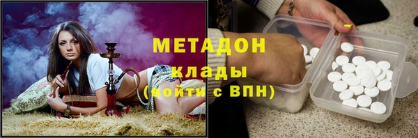 ПСИЛОЦИБИНОВЫЕ ГРИБЫ Арсеньев