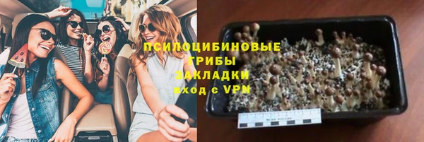 гидра Бутурлиновка