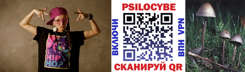 магазин    Зуевка  Галлюциногенные грибы GOLDEN TEACHER 
